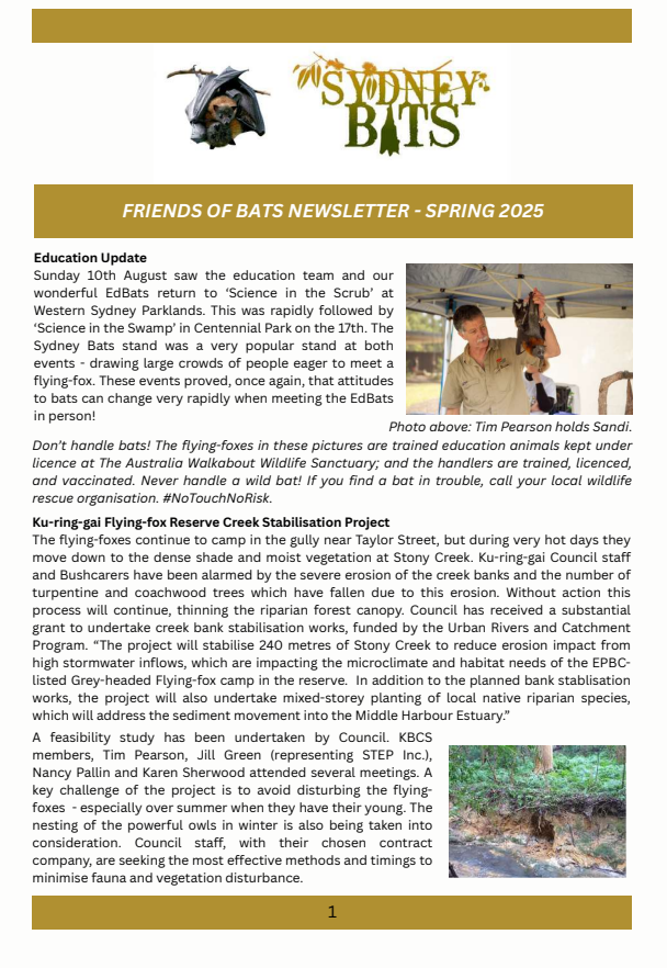 Friends of Bats Newsletter Spring 2025