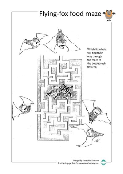 Flying-fox food maze activity sheet preview