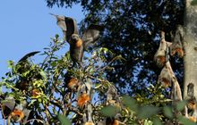 Takeoff_19_6_10_4091_-_Copy.jpg