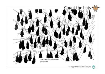 Count the bats activity sheet preview