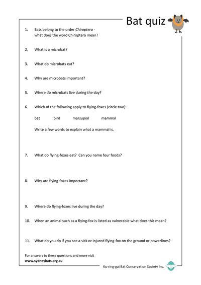 Bat quiz activity sheet preview