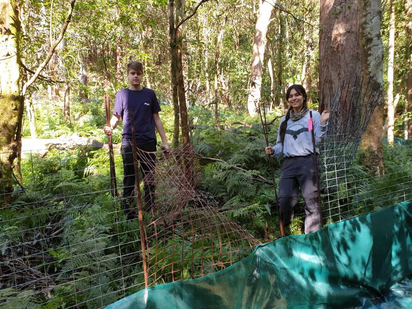 Two KBCS volunteers installing wallaby-exclusion fencing in the reserve